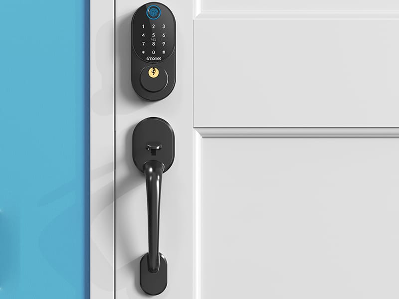 cheap smart door lock