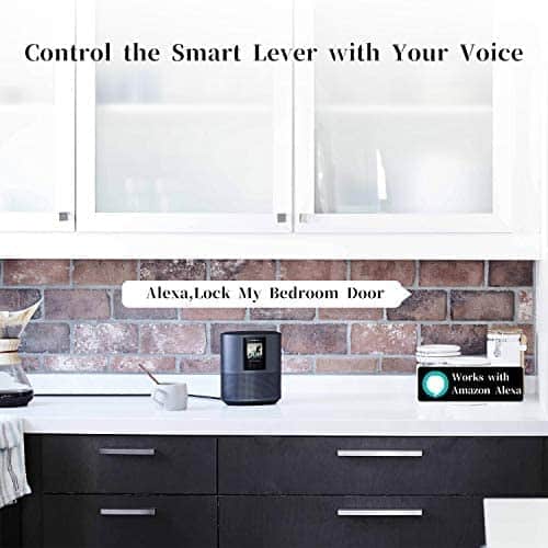 H1 Smart Doors For Home