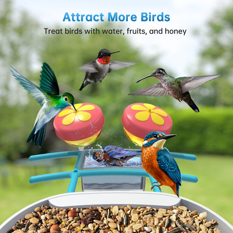 B300 Hummingbird Feeder with Camera - attract more birds