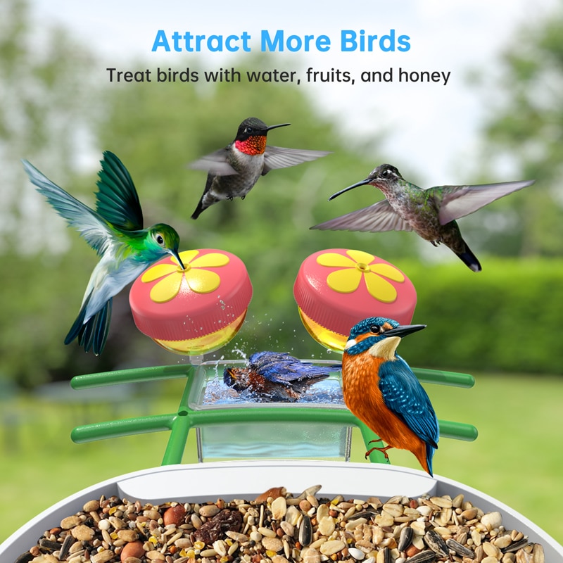 B300 SMONET Bird House with Camera - attract more birds