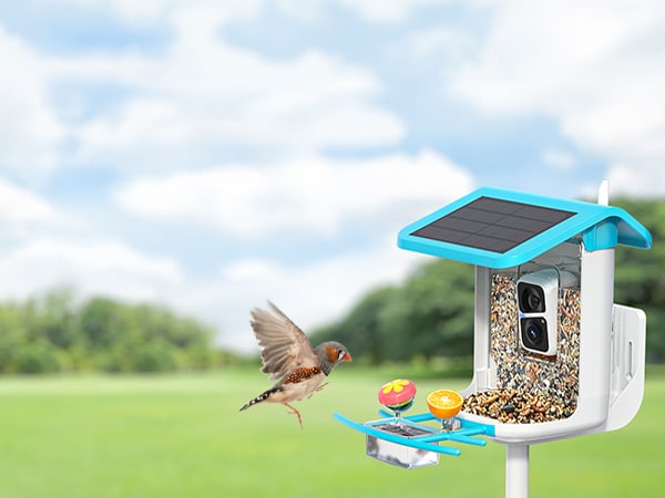 B300 SMONET hummingbird feeder with camera - MB BANNER