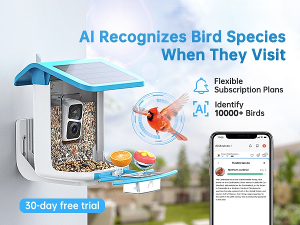 b300 hummingbird feeder with camera - AI recognizes bird species when they visit