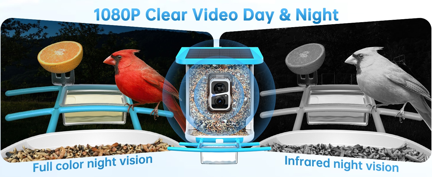 best hummingbird feeder with camera - 1080p clear video day & night