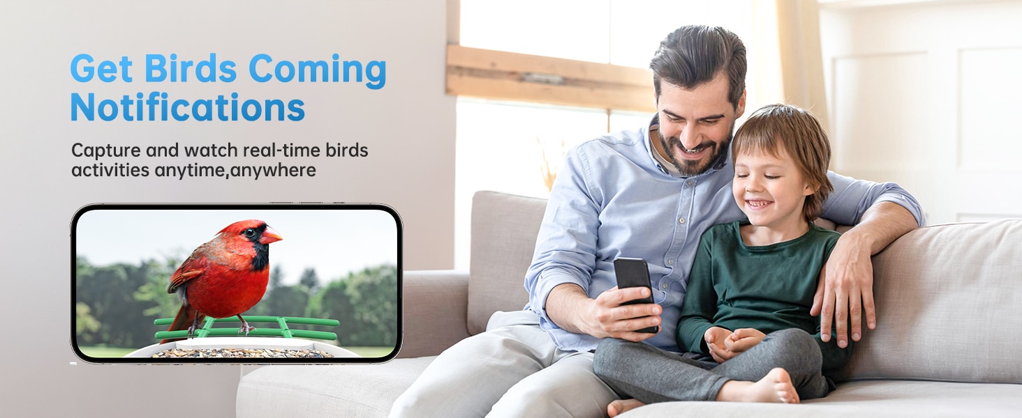 bird house with camera - ger birds coming notifications
