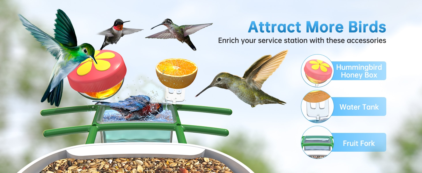 bird house with solar camera - attract more birds