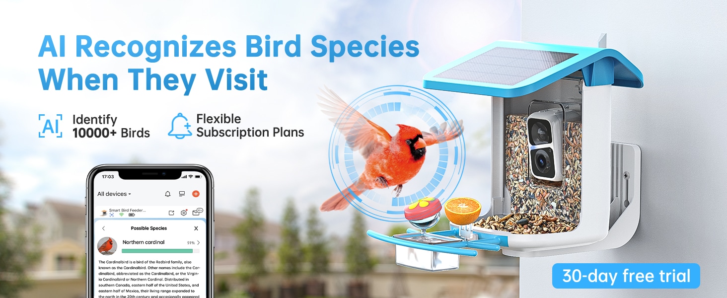 hummingbird feeder with camera - AI recognizes bird species when they visit