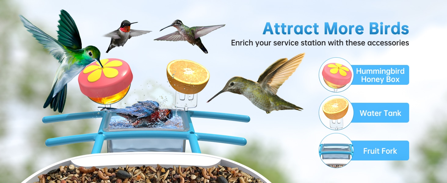 hummingbird feeder with camera - attract more birds