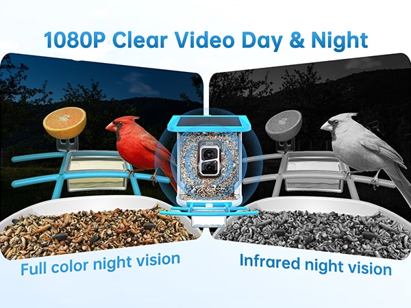 smonet best hummingbird feeder with camera - 1080p clear video day & night