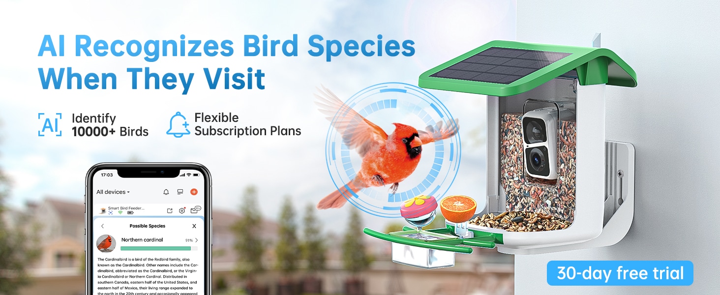 smonet bird house with camera - AI recognizes bird species when they visit