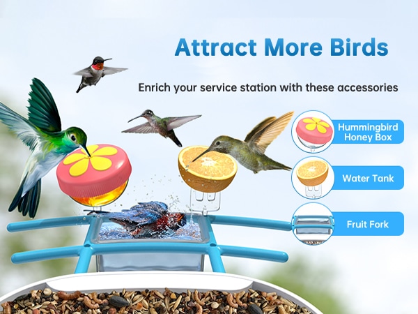 smonet hummingbird feeder with camera - attract more birds