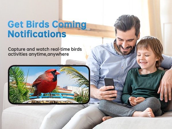 smonet hummingbird feeder with camera - get birds coming notifications
