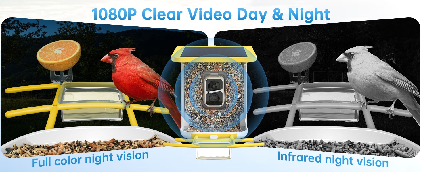 solar bird feeder - 1080p clear video day and night