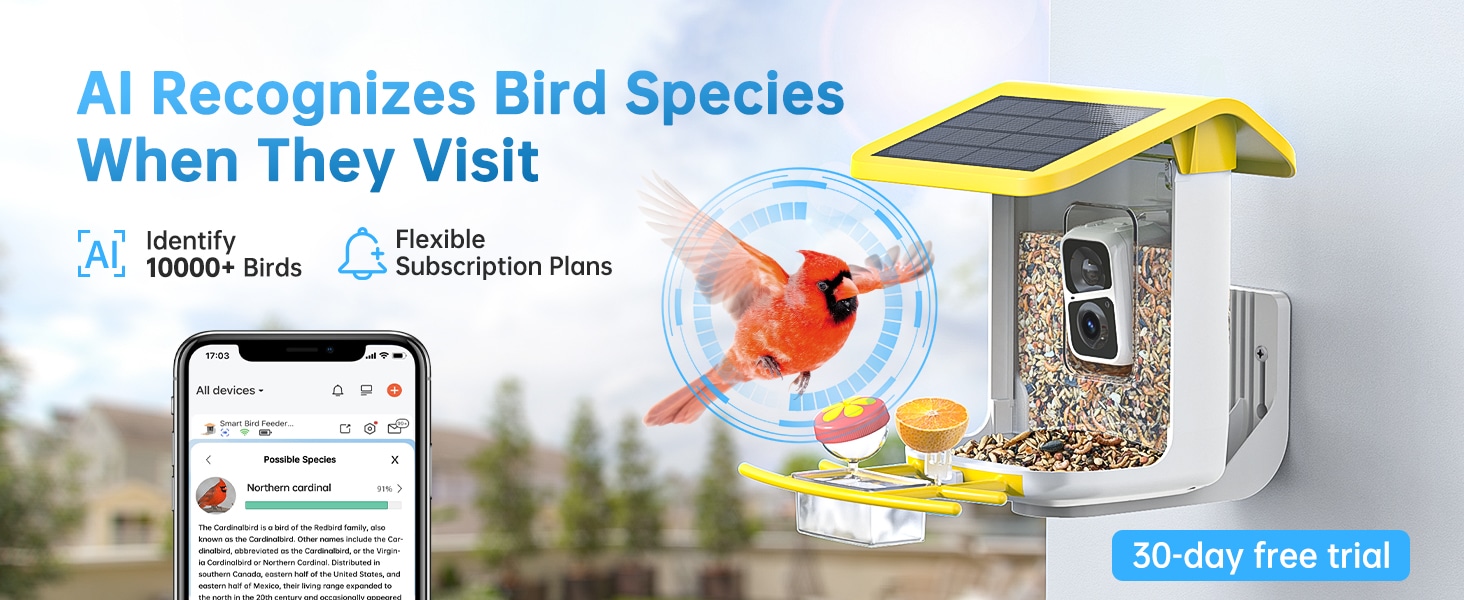 solar bird feeder - AI recognizes bird species when they visit