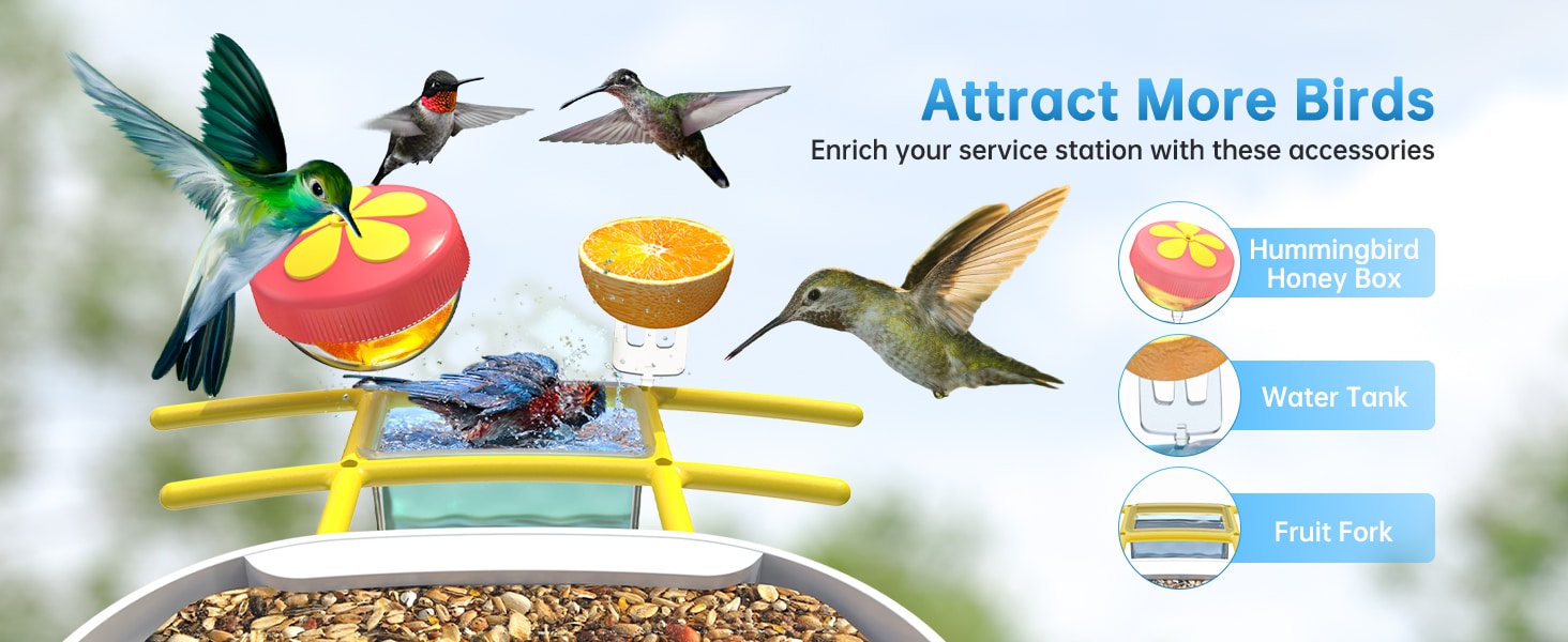 solar bird feeder camera - attract moer birds